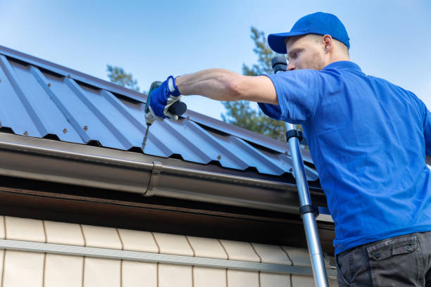 Best Gutter Replacement  in Mayer, AZ