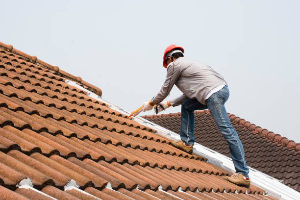 Best Roof Coating and Sealing  in Mayer, AZ