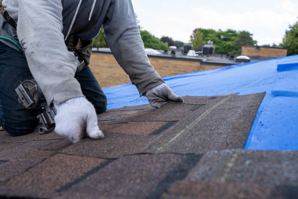 Best Green or Eco-Friendly Roofing Solutions  in Mayer, AZ