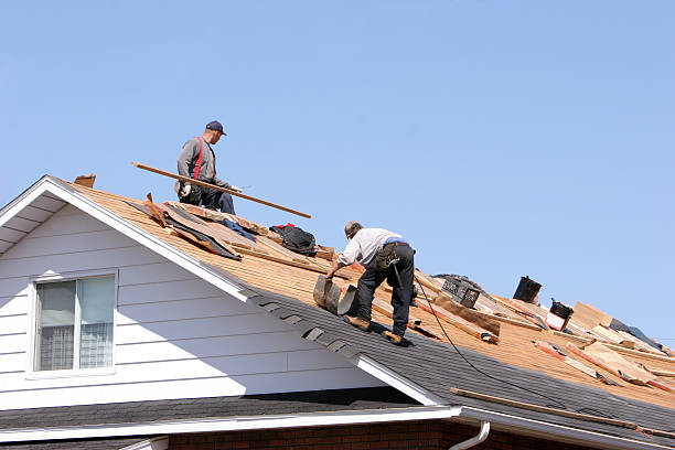 Best Rubber Roofing (EPDM, TPO)  in Mayer, AZ