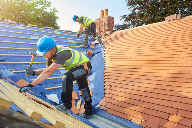 Best Roof Leak Repair  in Mayer, AZ